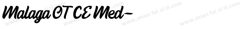 Malaga OTCE Med字体转换